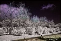 /album/fotogaleria-fotografia-infraroig/mg-8293-640x480-jpg/